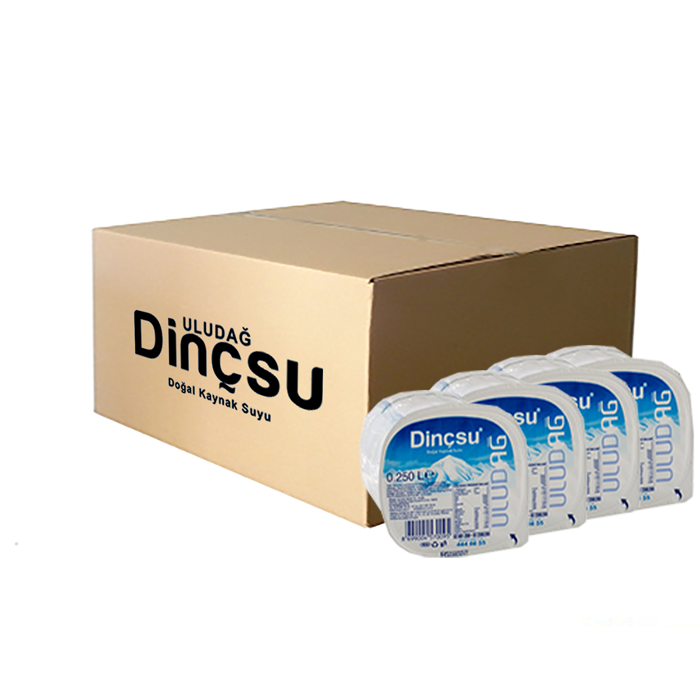 DinçSu Bardak Su 60 x 200 ml
