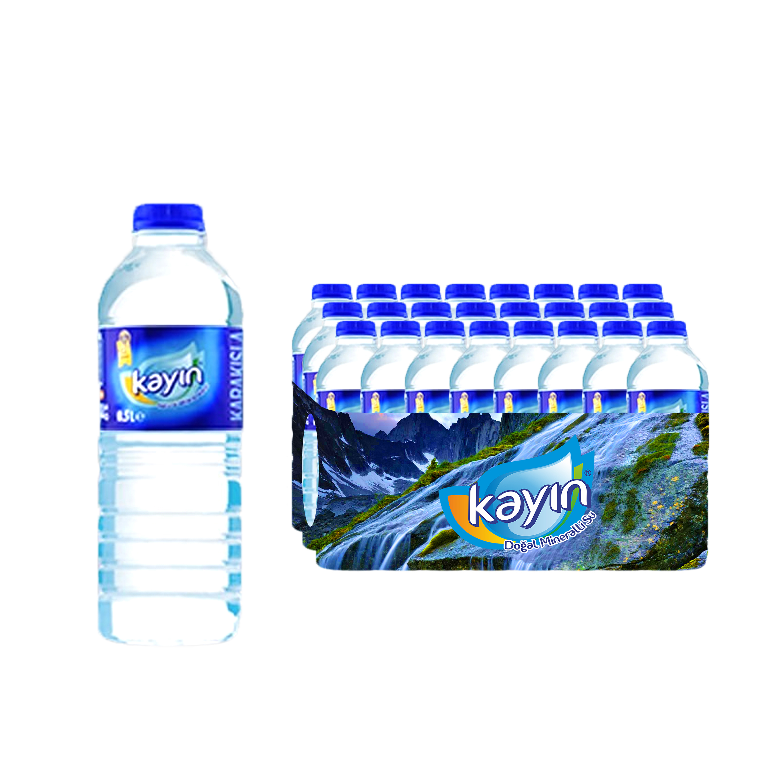 Kayın Kayın 12 x 500 ml