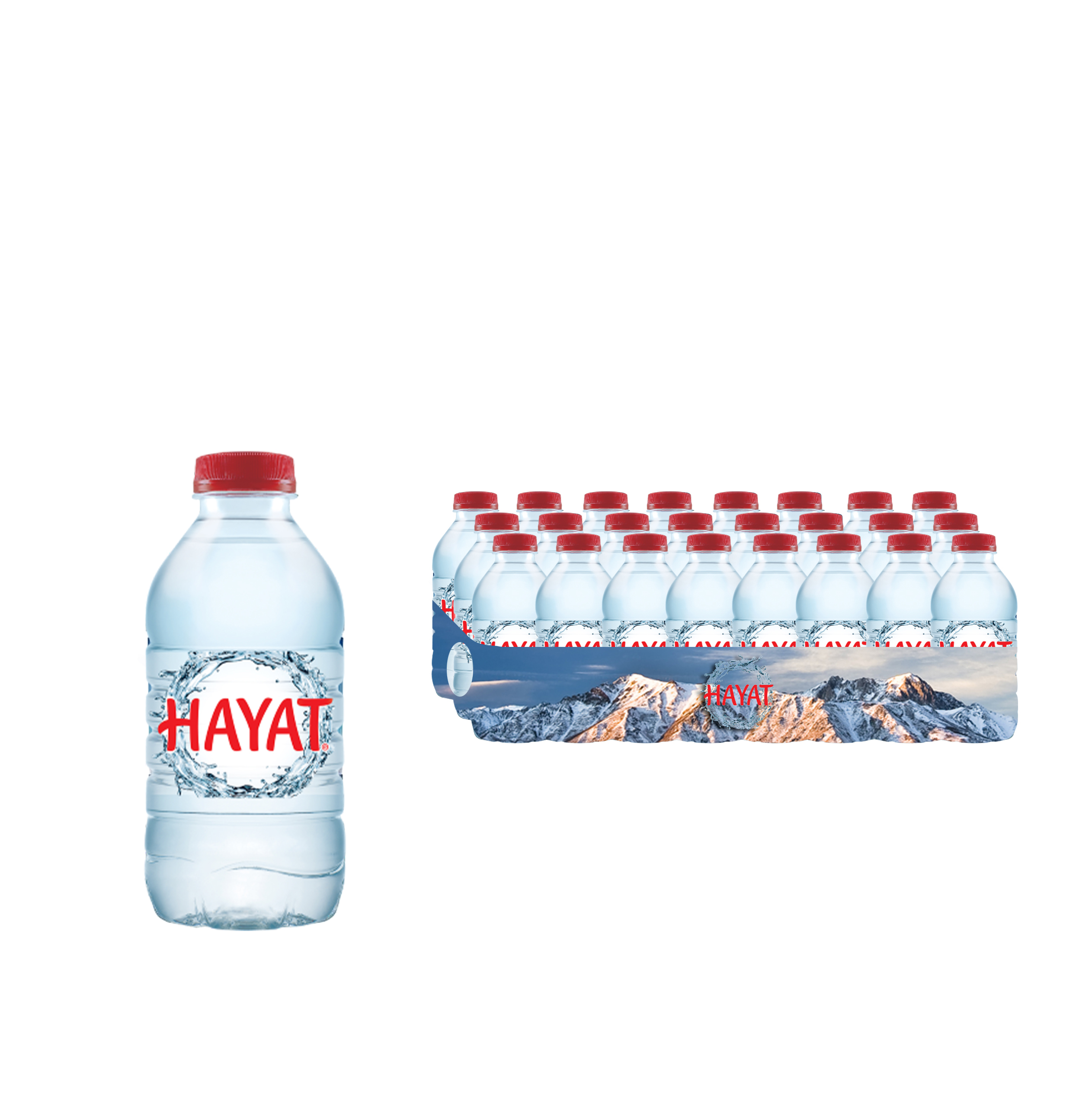 Hayat 12x330 ml 
