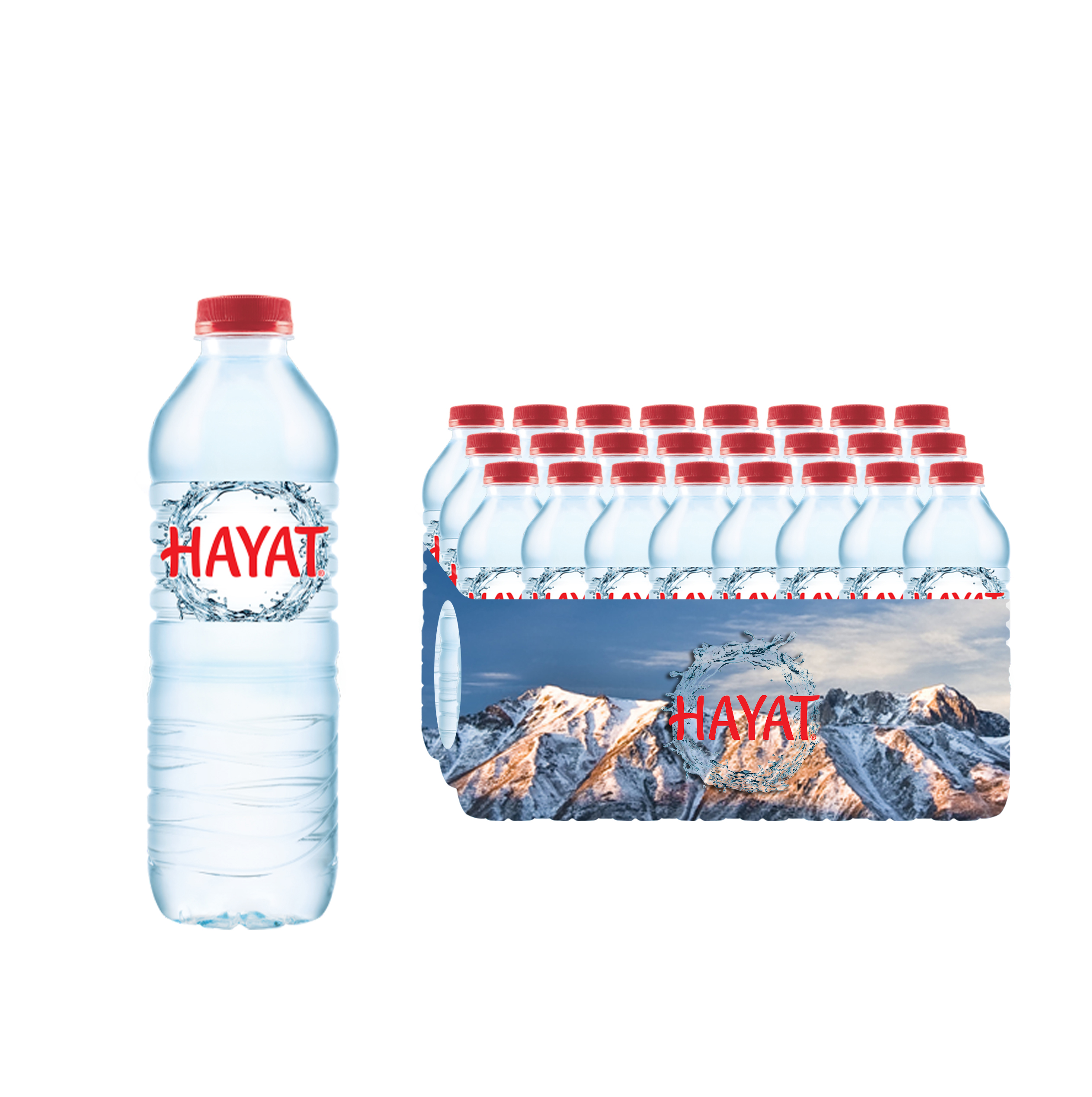 Hayat Water 12x500 ml